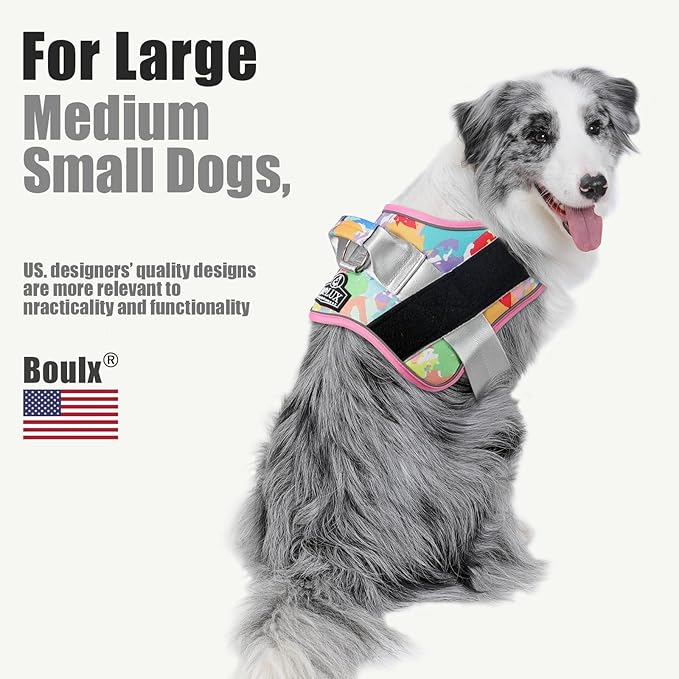 Bolux Dog Harness, No-Pull Reflective Dog Vest, Breathable Adjustable Pet Harness with Handle for Outdoor Walking - No More Pulling, Tugging or Choking (Large (Pack of 1), OilPainting)