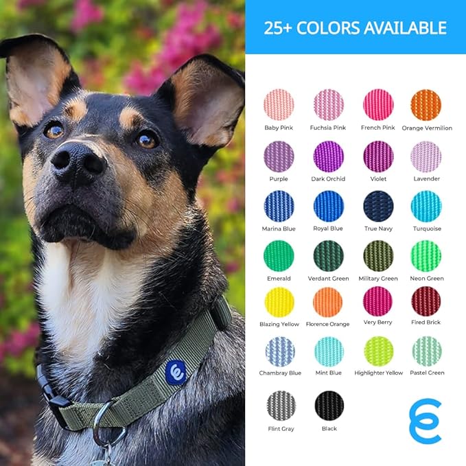 Blueberry Pet Essentials Dog Collar | Adjustable Girl Dog Collars for Medium Dogs | Pastel Green Puppy Collar | Classic Nylon Dog Collars for Small Dogs | Pet Accessories