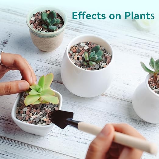 5lbs Terrarium Rocks for Pots Indoor, Succulent, Cactus, Bamboo, Bonsai Tree, 1/5 Inch Rocks for Planters Drainage, Mixed Color Small Lava Rocks for Top-Dressing