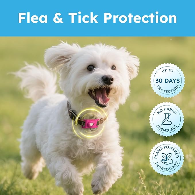 BugMD Paw Guardian Refill, Plant-Powered Flea & Tick Protection Tablets, 3 Count, 30-Day Protection, Natural Essential Oil Formula