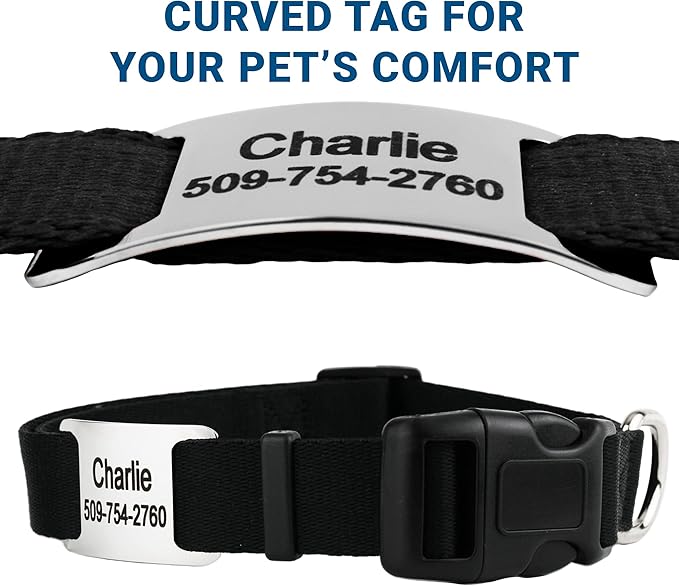GoTags Personalized Dog Collar with Nameplate, Adjustable Dog Collar with Custom Engraved Slide On Pet ID Tag in Stainless Steel, Silent, No Noise Dog Tag for Large Medium and Small (Black, X-Small)