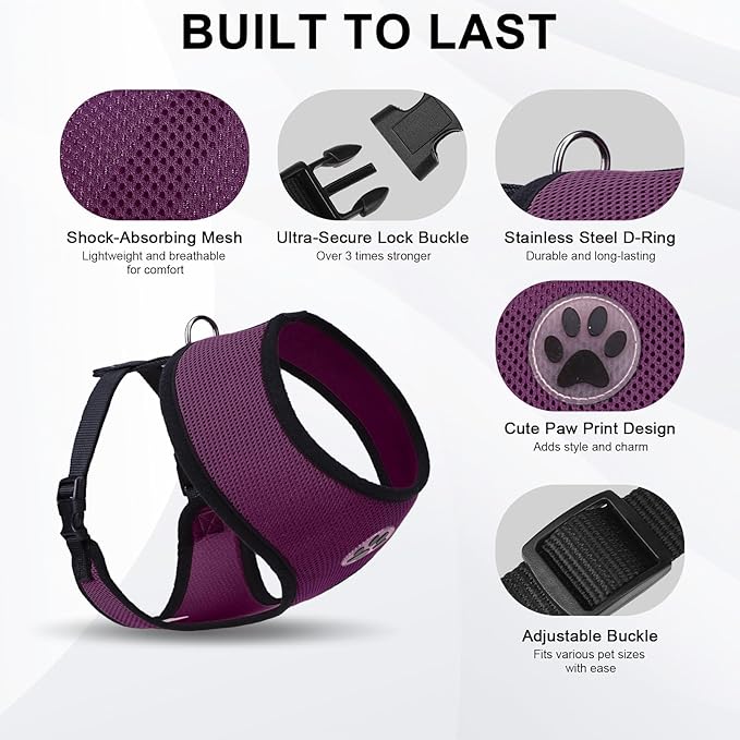 BINGPET Small Dog Harness - Breathable Mesh Puppy Cat Harnesses - No Pull Adjustable Dog Harness Dog Vest Harness for Small and Medium Dogs