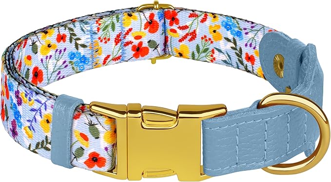 AirTag Dog Collar for Small Medium Large Breed - Adjustable Cute Pattern Dog Collar with Airtag Holder and Metal Buckle - Soft Leather Tracker GPS Apple Air Tag Pet Collars for Puppy Girl Boy Female
