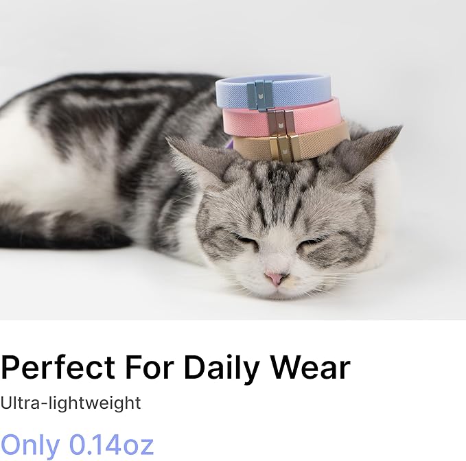 Safety Cat Collar - U.S. IDA Gold Awarding Design, Elastic Quick Release, Non Breakaway - Lightweight for Kitten, Neck Fit 7.8'-15.7' for All Small Large Cat,M(Vivid Red)