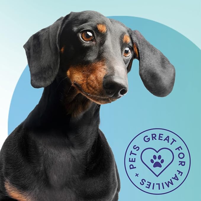 Bioesque Advanced Stain + Odor Remover, Pet-Friendly Natural Enzymatic & Bacterial Formula, Heavy-Duty Stain & Odor Remover, Safe on Carpets, Hard Floors, & More, 1 Gallon (Pack of 1)