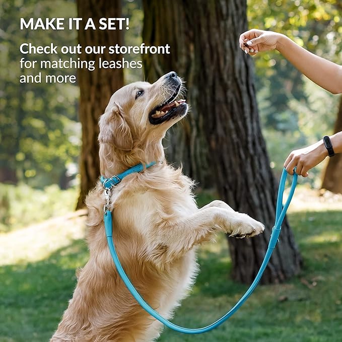 CollarDirect Rolled Leather Dog Collar, Soft Padded Round Puppy Collar, Handmade Genuine Leather Collar Dog Small Large Cat Collars 13 Colors (8-11 Inch, Light Blue Smooth)