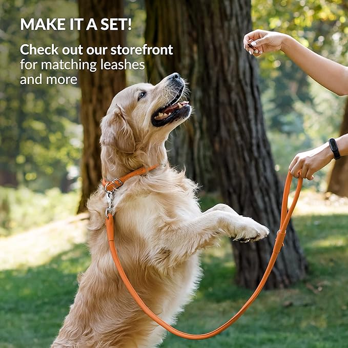 CollarDirect Rolled Leather Dog Collar, Soft Padded Round Puppy Collar, Handmade Genuine Leather Collar Dog Small Large Cat Collars 13 Colors (11-14 Inch, Orange Smooth)