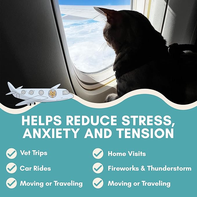 ALBERT & MIA Calming Sticks Lickable Calming Cat Treats for Stress and Anxiety Relief for Cats, Irresistible - Vet Recommended (Sleeping Aid, Vet Visits, Grooming, Car Rides, Plane) 20 Pack