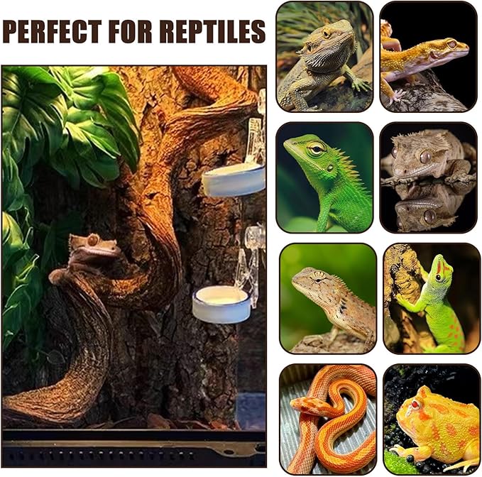 BNOSDM 4Pcs Reptile Climbing Branches Decor,Snake Climbing Branch,Gecko Climb Wood,Lizard Forest Branch,Tank Habitat Tree Trunk Decorations for Bearded Dragons,Chameleons,Spider,Frogs (S)