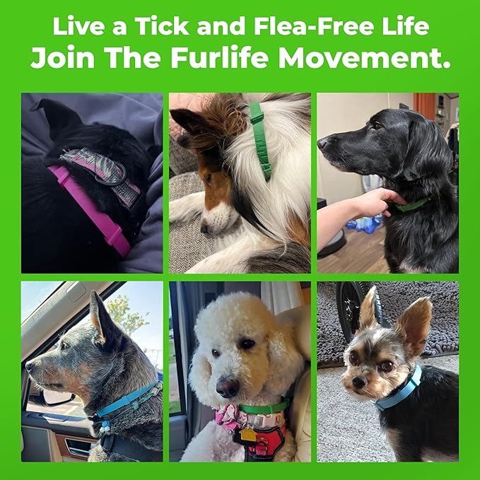 FurLife Flea and Tick Collar for Dogs – Waterproof Pink Dog Collar, Pet Supplies for Tick and Flea Prevention for Dogs, Safe for All Breeds