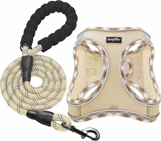 haapaw Dog Harness with Leash Set, No Pull Adjustable Reflective Step-in Puppy Harness with Thickened Padded Vest for Extra-Small/Small Medium Dogs