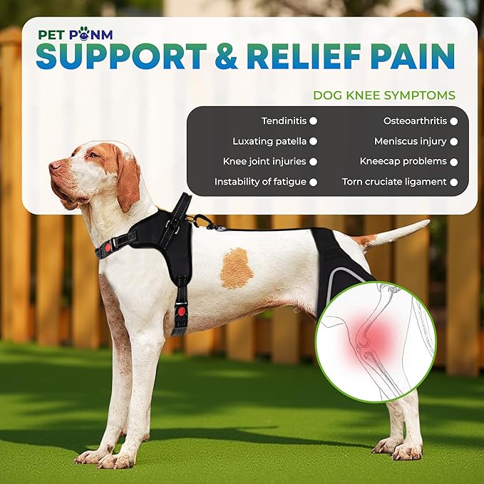 Comfortable Dog Knee Brace for Both Hind Legs with Harness - for ACL Tear, Luxating Patellae, Osteoarthritis & Instability - for Recovery & Injury Prevention in Active/Aging Dogs - (Small)