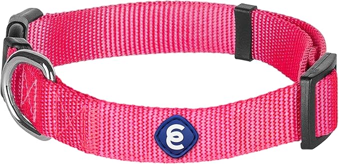 Blueberry Pet Essentials Small Dog Collar in French Pink | Adjustable & Eco-Friendly Durable Nylon Strap | Classic Collar for Small Dogs, Boy & Girl Pets