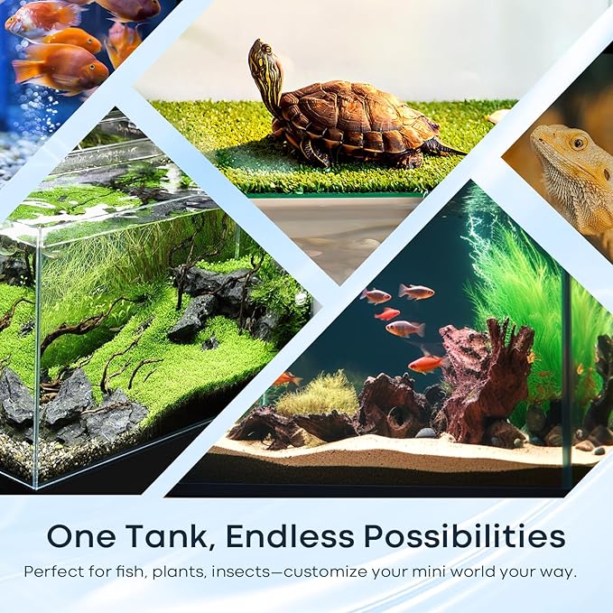 2.6 Gallon Glass Fish Tank Cube, Small Aquarium Fish Bowl for Betta Goldfish Snails Shrimp Aquatic Planting, Easy to Maintain Ultra Clear Rimless Design for Desktop Small Spaces