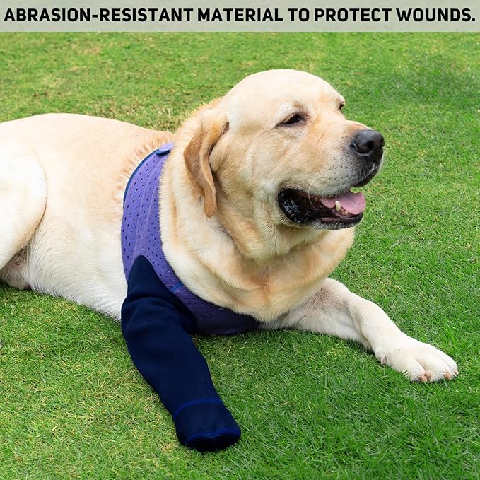COODEO Dog Socks to Prevent Licking Paws, Healing Boots & Paw Protectors with Non-Slip Bottoms for Wound Protection, Waterproof Sleeve Shoes for Licking（Purple，M_Right