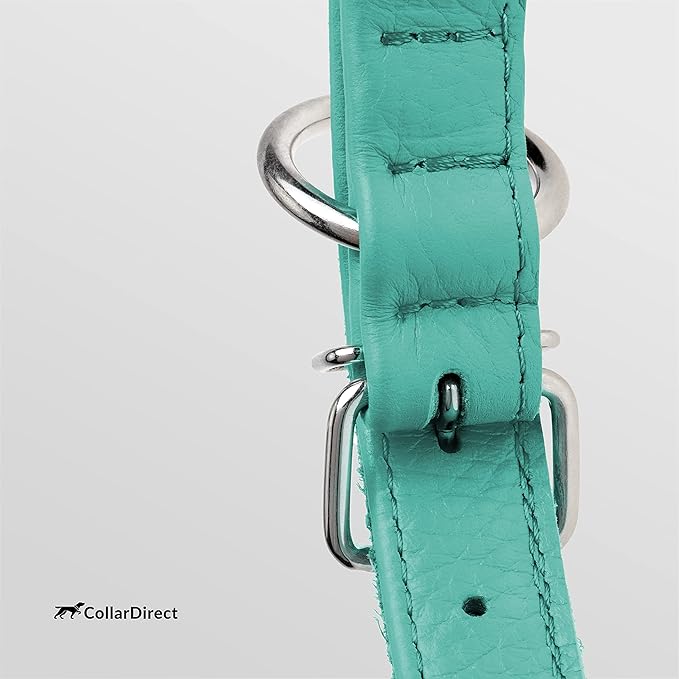 CollarDirect Rolled Leather Dog Collar, Soft Padded Round Puppy Collar, Handmade Genuine Leather Collar Dog Small Large Cat Collars 13 Colors (13-16 Inch, Mint Green Textured)