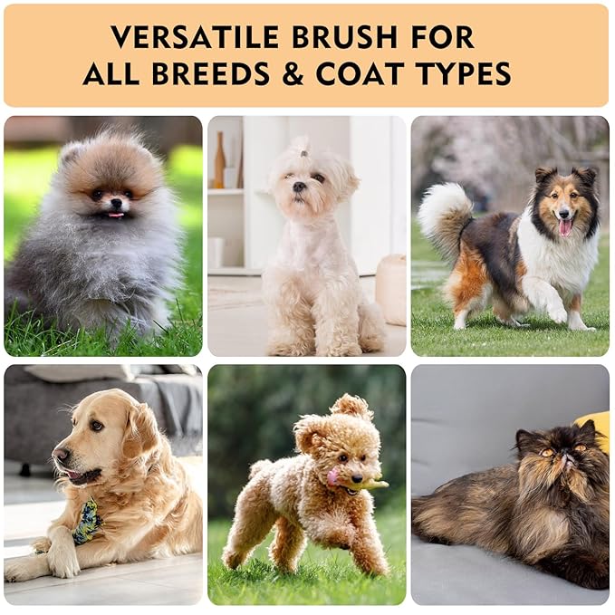 Dog Slicker Brush for Shedding & Grooming - Professional Dog Brush and Cat Brush with Coated Tips & Air-Cushion Design, Deshedding Tool Removes Undercoat Tangles & Loose Fur for Long/Short Hair Pets