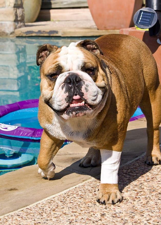 Protective Sleeve Tubular Cover - Bandages - for Dogs Cats and Other Pets First Aid Wound Care Comfortable Non-Adhesive Breathable and Water Resistant 7 Strips (yields 14-21 Covers) (X-Small)