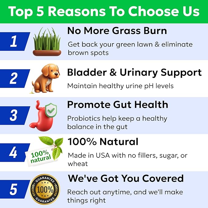 BARK&SPARK Green Grass Chews - Pee Grass Spot Saver Caused by Dog Urine - Urine Neutralizer for Lawn, Gut Health Probiotics & Digestive Enzymes,Lawn Burn from Dog Urine, Grass Burn Spot Chews, Rocks