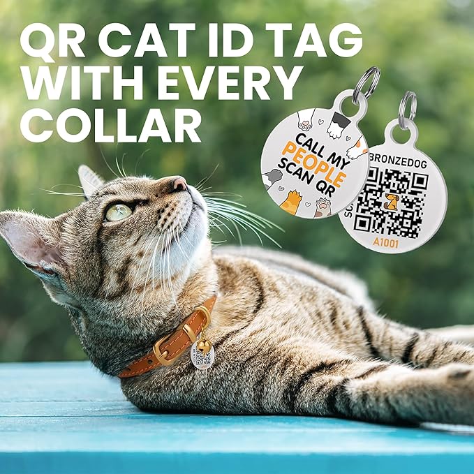 BRONZEDOG Leather Cat Collar with Removable Bells Non Breakaway Kitten QR Tag for Girl Boy (9" - 12" Cats/Mini Dogs, Black & Gold)