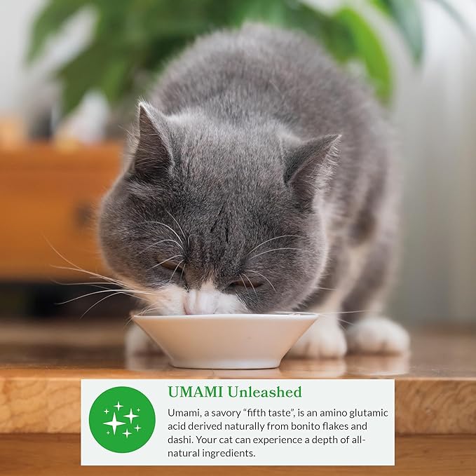 INABA Dashi Delights for Cats, 2.5 Ounce Cup, 6 Cups Total, Chicken with Salmon Recipe