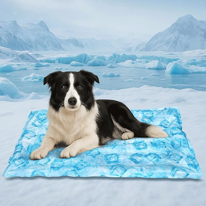Cooling Pad for Dog,Instant Pet Cool Mat for Puppy,Comfortable Cool Pet Mat for Cat.Portable Dog Bed for Summer. Suitable for Outdoor Summer Crate Pad.Long Time Cooling.Ice Brick(Size-M 15.7*19.7in)