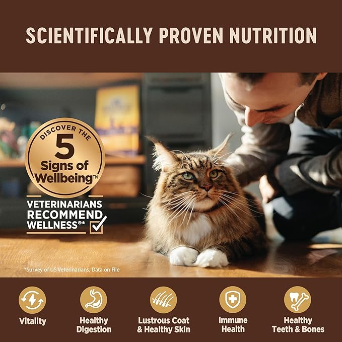 Wellness CORE+ Indoor Pate Adult Wet Cat Food, Natural, Protein-Rich, Grain Free, 3 Ounce, 12 Pack (Chicken & Chicken Liver)