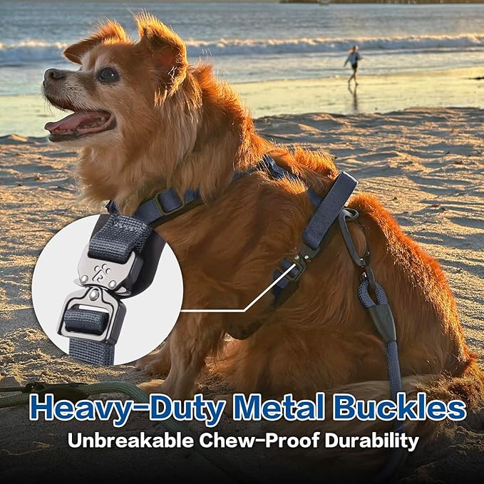 CLEPAWS Dog Harness for Small Dogs, No Pull Dog Harness Easy Walk with Metal Hardware, Ergonomic Y-Shaped Design, Soft Padding, Padded Handle, Durable High-Tensile Nylon (Nightfall, S)