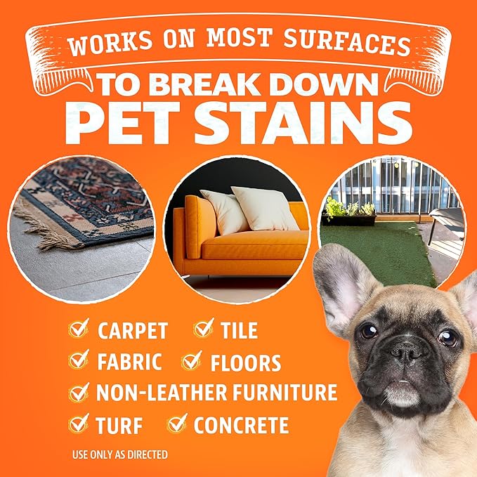 ANGRY ORANGE Pet Stain Remover for Dog Urine and Stains - Enzyme Cleaner - Citrus - Value 2 pack