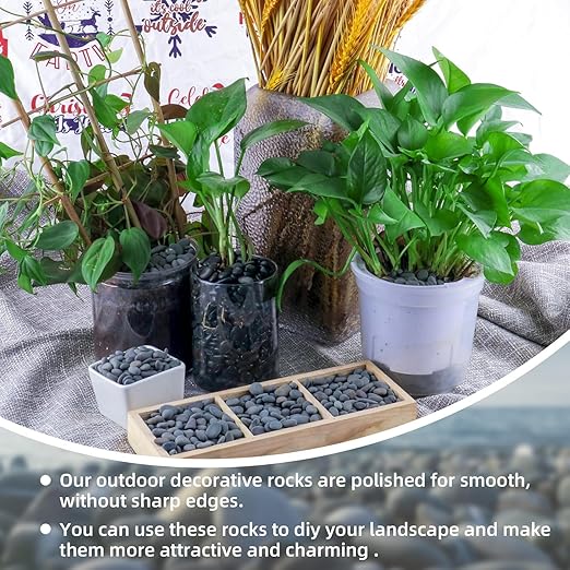 45lb River Rocks Pebbles for Plants & Succulents, Decorative Outdoor Landscaping Garden Rocks, Natural Small Mexican Beach Pebbles Aquarium Rocks Gravel for Fish Tanks Vase Yard Decor