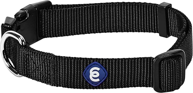 Blueberry Pet Essentials X-Small Dog Collar in Black | Adjustable & Eco-Friendly Durable Nylon Strap | Classic Collar for X-Small Dogs, Boy & Girl Pets