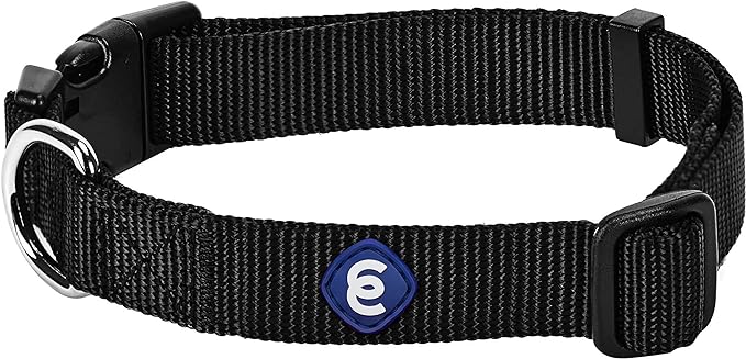 Blueberry Pet Essentials Small Dog Collar in Black | Adjustable & Eco-Friendly Durable Nylon Strap | Classic Collar for Small Dogs, Boy & Girl Pets