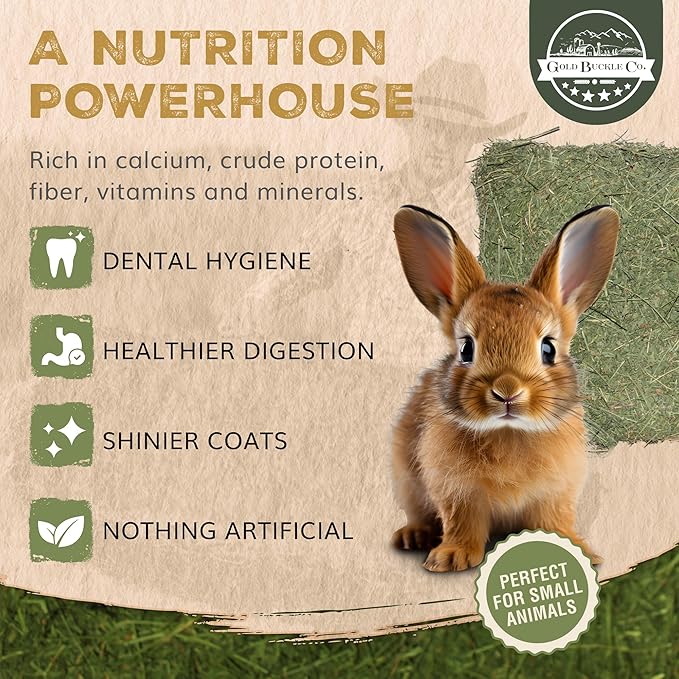 20lb Freshly Dried Organic Alfalfa Hay for Guinea Pigs, Rabbits, Chinchillas, Goats, Hamsters & Ferrets, Small Animal Food Rich in Protein & Fiber, Hand-Selected, Hand sorted, USA Grown