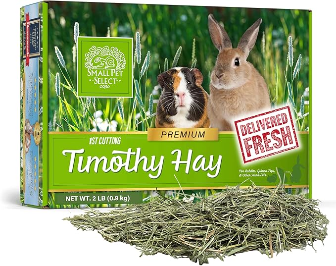 Small Pet Select 1st Cutting Timothy Hay, Animal Food for Guinea Pig, Rabbit, Hamster, Bunny, or Chinchilla, Natural Hay Grown in the USA, 2lb