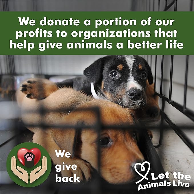 Arava Ear Cleaner Wipes for Dogs Cats Puppies Kittens - 100 Count - Natural Medicated Cleansing Deodorizer - Removes Dirt Wax - Pet Wipes for Cat Ear Cleaning, Dog Ear Cleaner