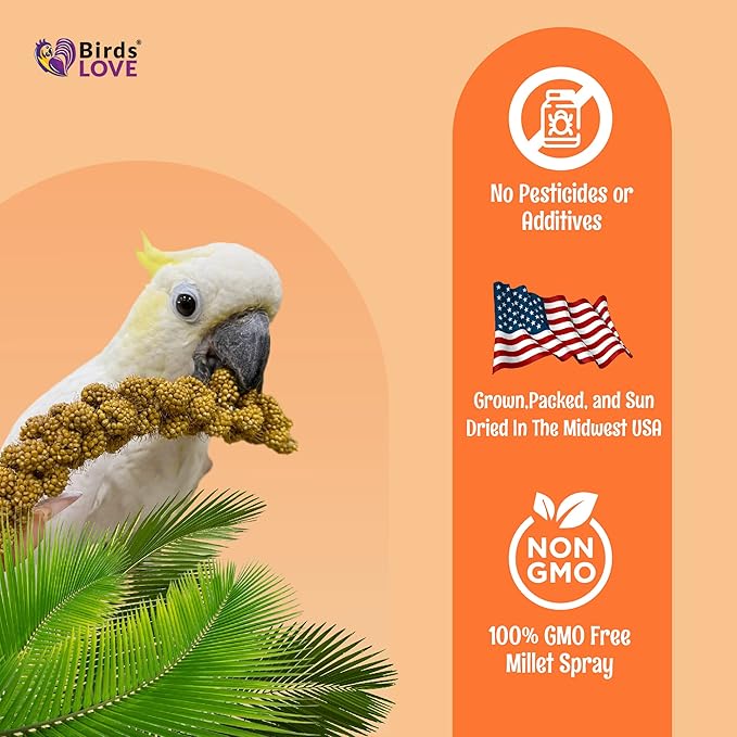 Birds LOVE Wholesome & Lovely Spray Millet Non-GMO for Birds Cockatiel Lovebird Parakeet Finch Canary All Parrots Healthy Treat - 2LBS