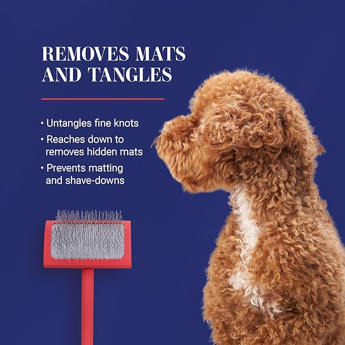 Chris Christensen Big G Dog Slicker Brush, Groom Like a Professional, Fluff Detangle Style, Saves Time Energy, Made in Germany, Coral, Medium