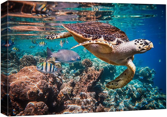 wall26 Canvas Print Wall Art Tropical Turtle Coral Reef Deep Sea Dive Nature Animals Photography Realism Rustic Scenic Landscape Wilderness Earth Colorful for Living Room, Bedroom, Office - 12"x18"