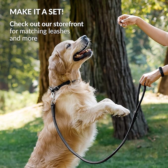 CollarDirect Rolled Leather Dog Collar, Soft Padded Round Puppy Collar, Handmade Genuine Leather Collar Dog Small Large Cat Collars 13 Colors (18-22 Inch, Black Smooth)