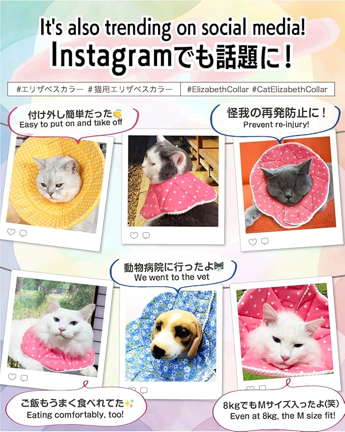 Soft Recovery Cone for Cats, Adjustable Post-Surgery Protective Collar, Comfortable Elizabethan Collar for Cats, Kittens, and Puppies to Prevent Wound Licking, E-Collar (美/首巻/青/M)
