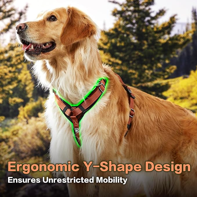 CLEPAWS Dog Harness for X-Large Dogs, No Pull Dog Harness Easy Walk with Metal Hardware, Ergonomic Y-Shaped Design, Soft Padding, Padded Handle, Durable High-Tensile Nylon (Canyon Red, XL)