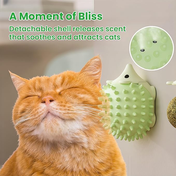 6 Pcs Catnip Ball Toys with Rubbing Shell, Lickable Roller Catnip Toys for Cats Chew, Edible and Refillable Kitten Toys, Teeth Cleaning Dental Indoor Cat Treats Toys, 3 Shells 6 Balls