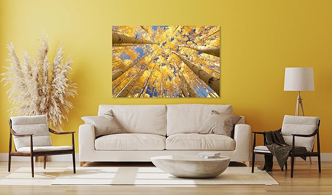 Nature Wall Art Prints - Ocean Forest Mountain Lake Canvas Landscapes - Small to Extra Large Living Room Bedroom Kitchen Bathroom Décor (Reaching for the Sky, 24L" x 36W")