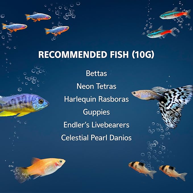 Aqueon 10 Gallon Aquarium Starter Kit with SmartClean Filtration and LED Lighting for Tropical Freshwater Fish