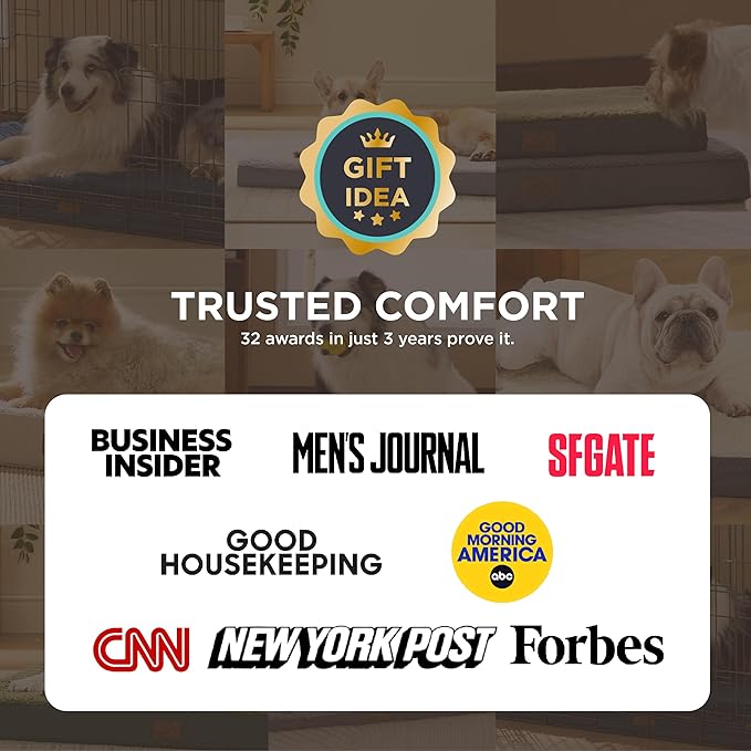 Bedsure Dog Bed for Small Dogs - XS Orthopedic Flat Puppy Beds with Removable Washable Cover, Egg Crate Foam Pet Mat, Suitable for Pet or Cats Up to 15 lbs