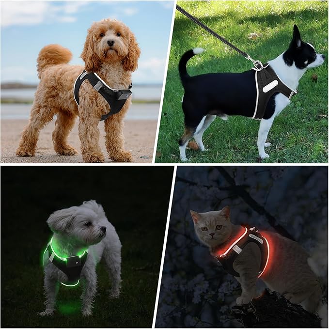 PceoTllar Light Up Dog Harness, LED No Pull Reflective Dog Harness, Flashing Lighted for Night Walking - Small/Medium, (Black Green,xs)