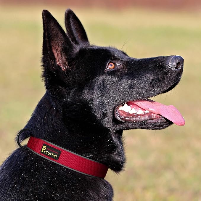 Plutus Pet Tactical Dog Collar, Reflective, Adjustable Heavy Duty Dog Collar, Soft Padded and Comfortable, for Small Medium and Large Dogs (Red, L)