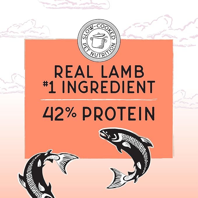 Blackwood Bounty Dry Cat Food, Salmon & Rainbow Trout Recipe for All Life Stages, 2 Pound Bag, High Protein, Grain Free