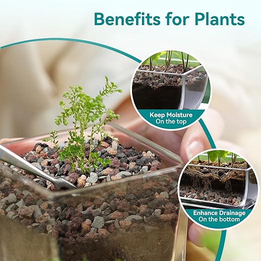 2.5lbs Terrarium Rocks for Pots Indoor, Succulent, Cactus, Bamboo, Bonsai Tree, 1/5 Inch Rocks for Planters Drainage, Mixed Color Small Lava Rocks for Top-Dressing