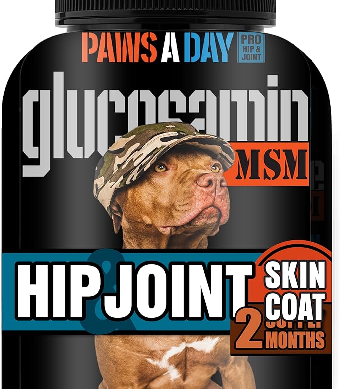Glucosamine for Dogs Hip & Joint Supplement – “Two-in-One Combo” Dog Joint Care and Improved Skin & Coat with Chondroitin, MSM, Omega 3, Collagen & Biotin, 60 Chewable Tablets